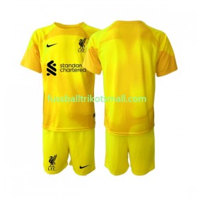 Fußballtrikots Liverpool Torwart Kinder 2022-2023 Kurzarm Fourth trikot kaufen